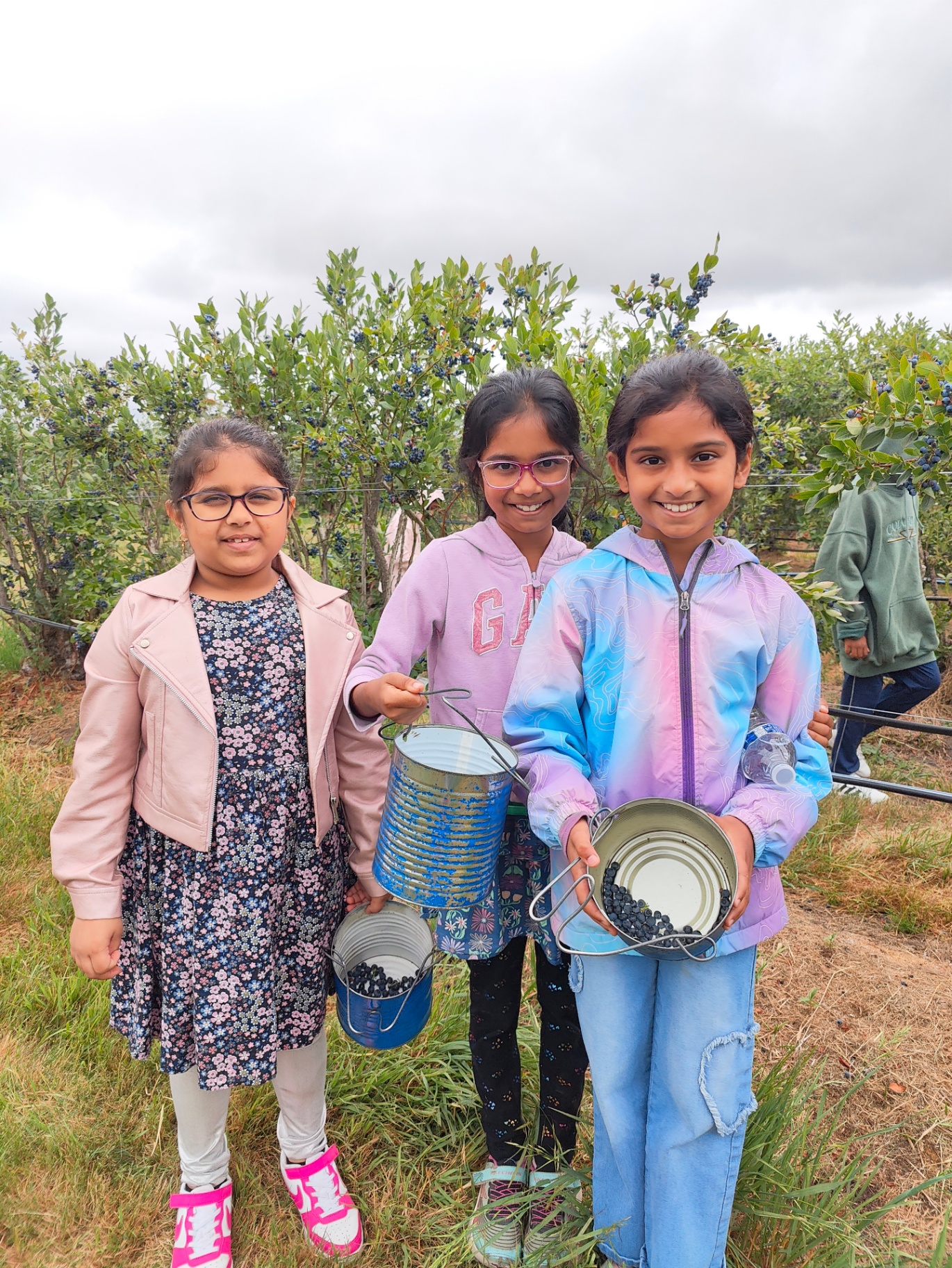 Campers blueberry picking