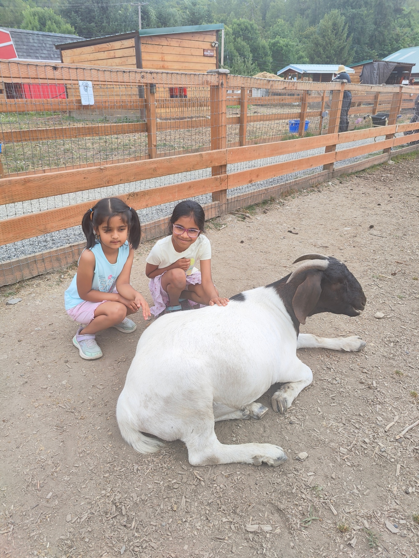 Campers at a petting farm with a goat